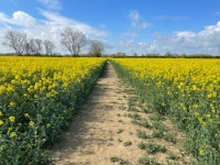 Field Path