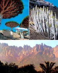 Nature's Wonders #1