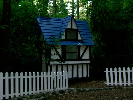 little house in the woods