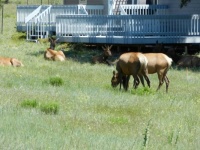 2011_0627 trip to Colorado 13