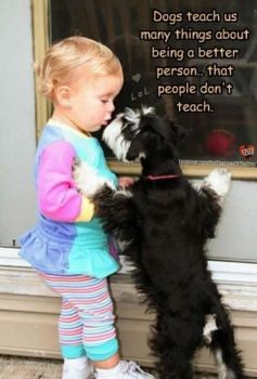 Dogs Teach Us!
