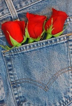 Red roses and denim jeans!!