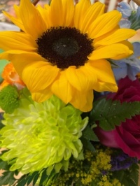 Flowers