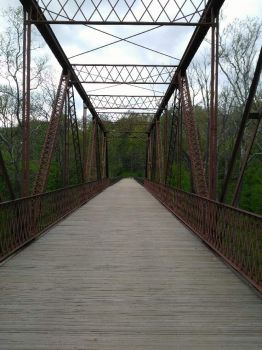 bridge at McCloud Nature Park