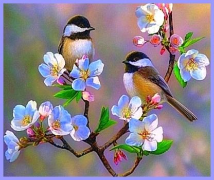 Cherry Blossom Chickadees