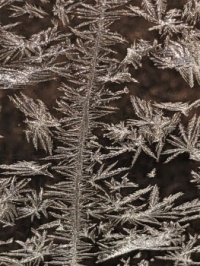 Frosty Night