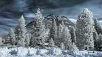 Black Butte, Siskiyou County, California, Under Fresh Snow in 720nm infrared