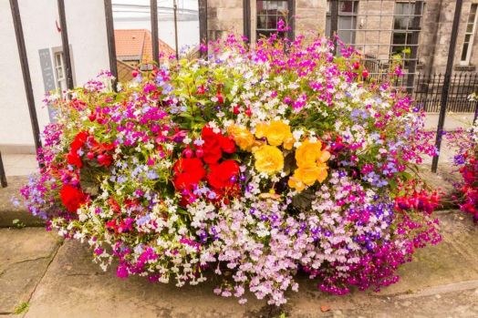 jigidi pix garden lovers club