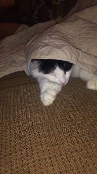 IMG_20171116_164221401.jpg
