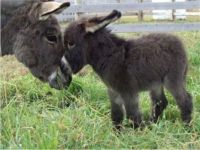 Baby and mum