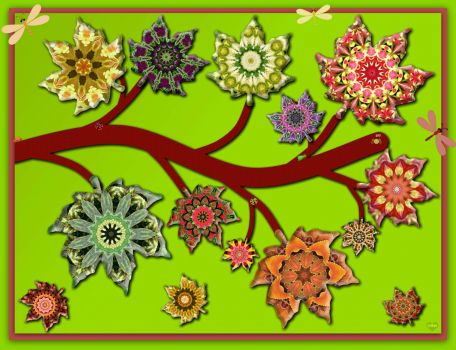 A Belated Happy Birthday to Mariasha: KaleidoLeaves for My Favourite Plant Geek!! ~ Extra Large