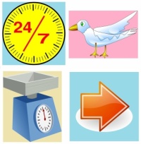 CA 1309 - 24/7, bird, scales & arrow