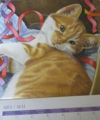 Kitty Calendar May 2022