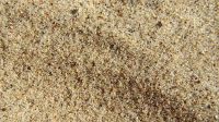 Sand grains