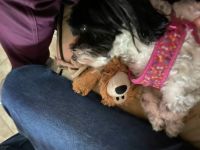 charlee with bear