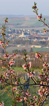 Spring in Austria