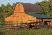 Wisconsin Barns . .