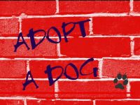 Adopt!