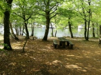 Silkeborg