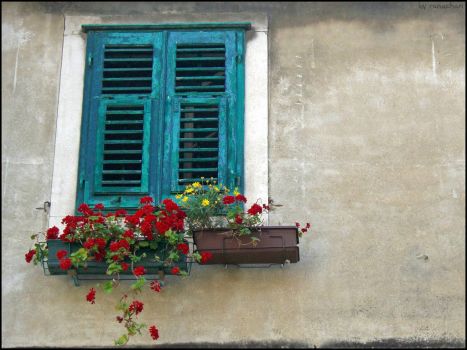 Window and flowers in Split, Kroatia, by midori.no.kerochan