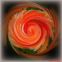Deep Orange