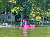 Large Pink Flamingo