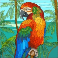 Pretty Parrots Series