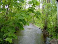 May photo