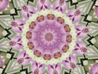 mandala-237842_1920
