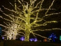 Longwood Gardens, PA