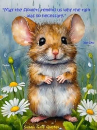 Rain Squirrel Flowers