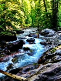 Avalanche Creek - GNP