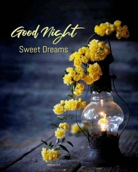 Solve Good Night - Sweet Dreams jigsaw puzzle online with 63 pieces