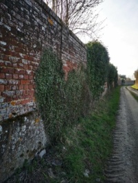 A1