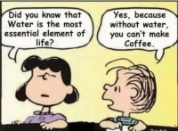 My Thought Exactly