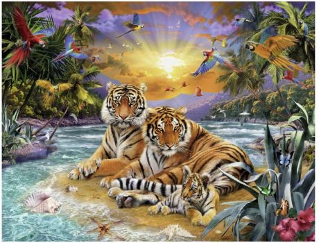 famille-de-tigres-au-coucher-du-solei