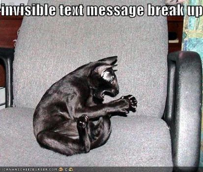Invisible cat series