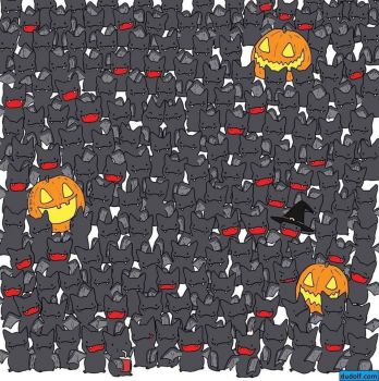 Solve Find the cat! jigsaw puzzle online with 121 pieces