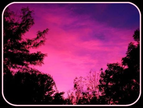 Pinknblack Sky