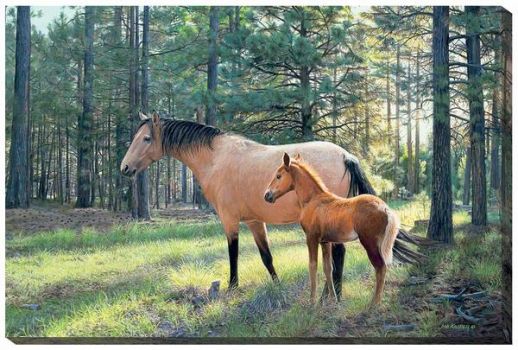 Wilderness Bond-Horses by Jim Kasper