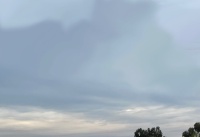 Bluebirdii Ominous clouds for Jacki 😊