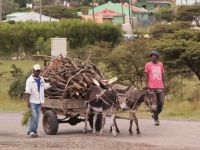 transport