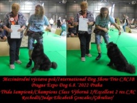 So the Next Dog Show Is Done...:-)))...