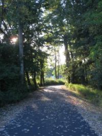 The path I took today