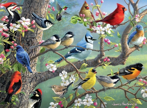 birds in an orchard