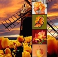 An Evening in Holland