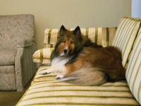 Comfort