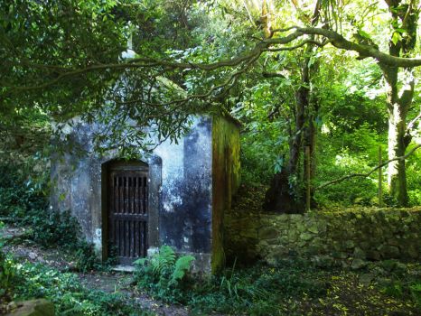 Tiny chapel in the forest in Portugal