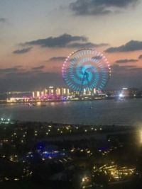 Dubia
