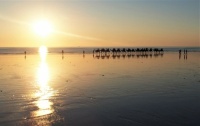 Sunset at Cable Beach, Broome, Western Australia